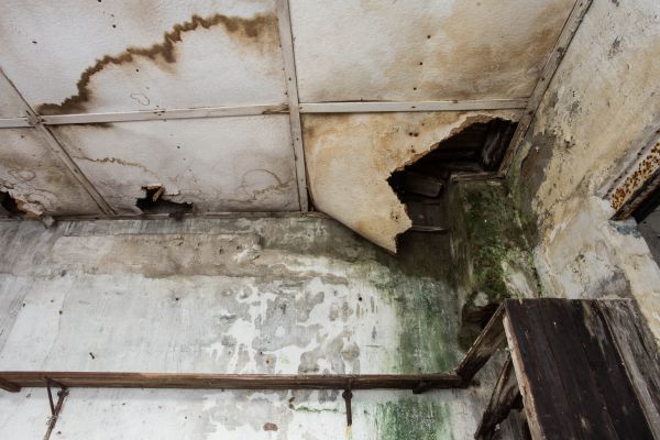 Water Damage Service in Port Orchard