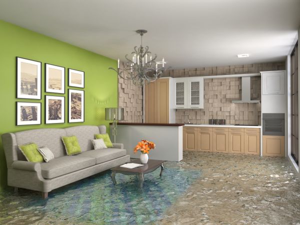 Wet Carpet Drying in Port Orchard