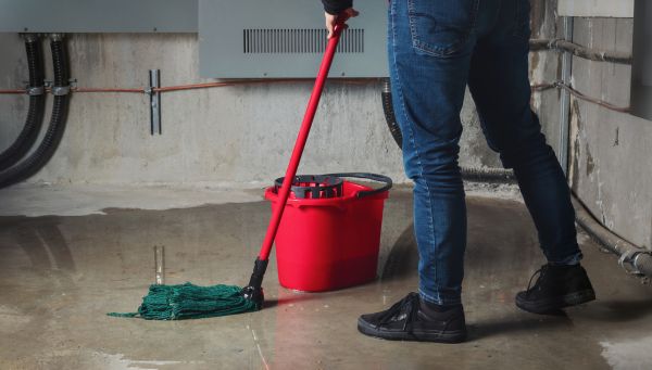 Flooded Basement Cleanup in Port Orchard