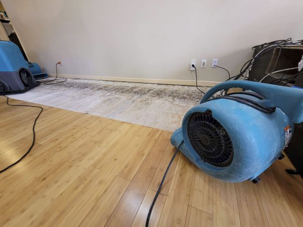Water Damage Mitigation in Port Orchard