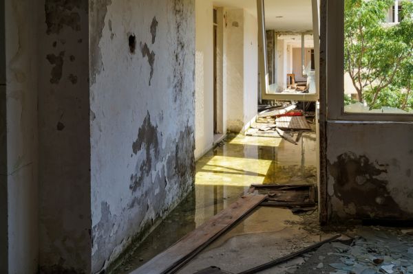 Water Removal Service in Port Orchard