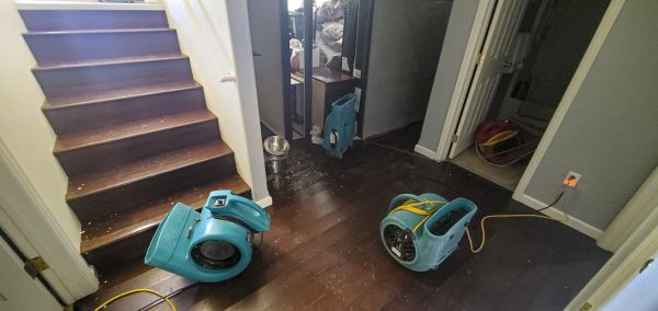 Water Damage Remediation in Port Orchard