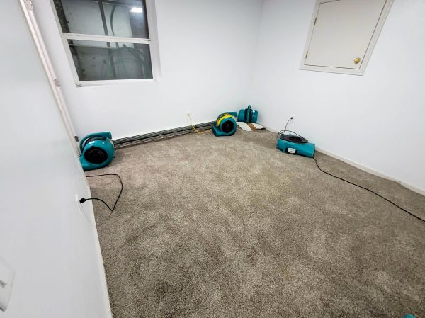 Flood Restoration Service in Port Orchard