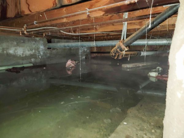Crawl Space Drying in Port Orchard