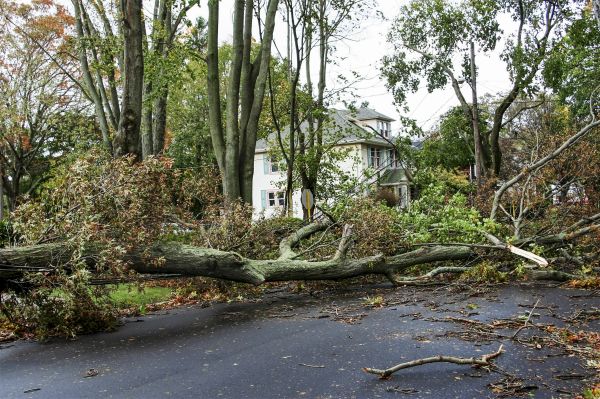 Tornado Damage Repair in Port Orchard