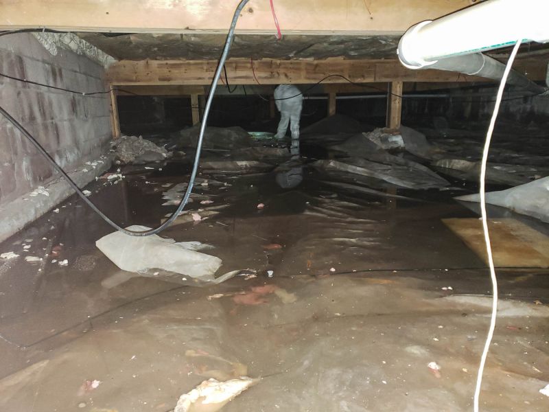 Water Damage Response